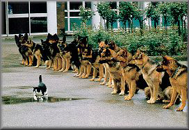 Confidence!